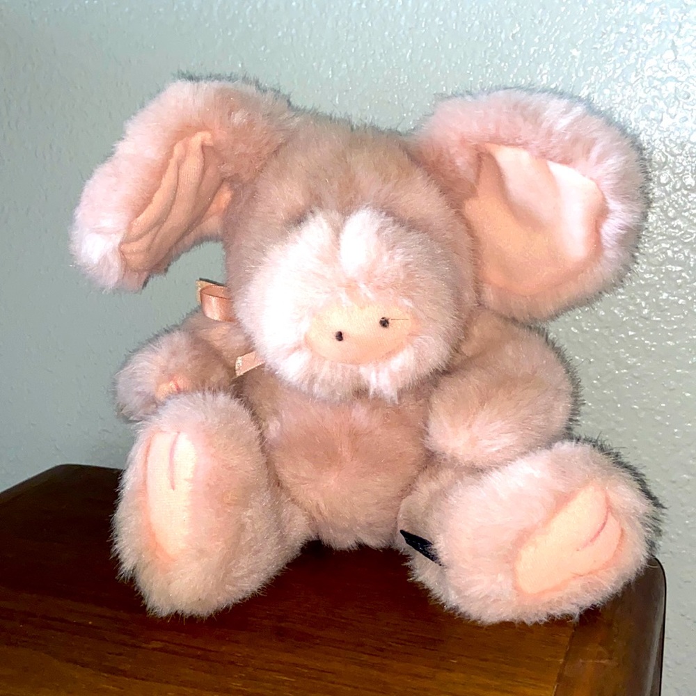 Cute Boyd’s Pig
